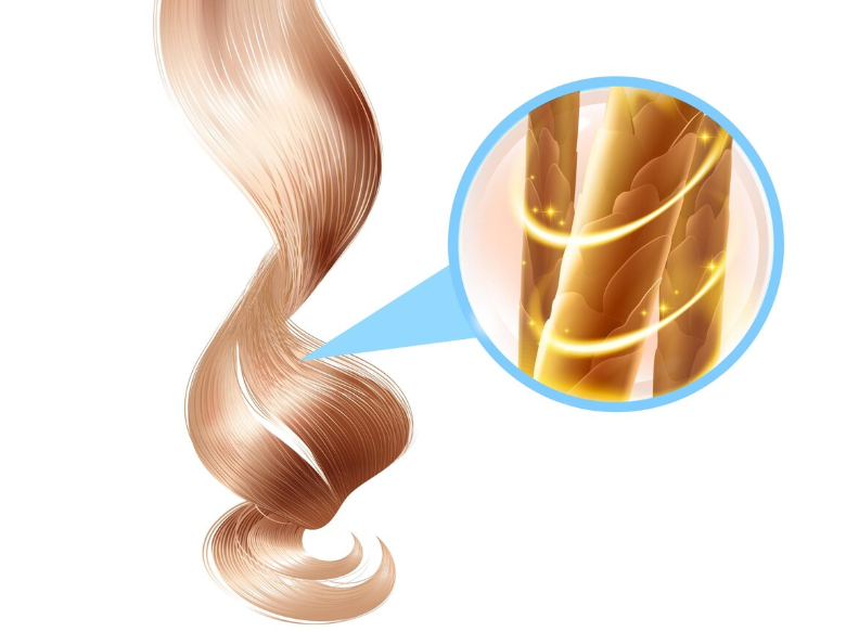 Collagen Peptides benefit to hair